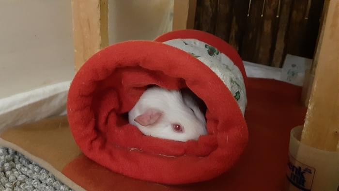 Klicke auf die Grafik f�r eine gr��ere Ansicht

Name:	20240214_050342.jpg
Hits:	0
Gr��e:	70,3 KB
ID:	205853