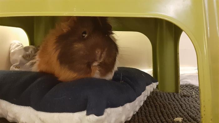 Klicke auf die Grafik f�r eine gr��ere Ansicht

Name:	20240213_064343.jpg
Hits:	0
Gr��e:	76,1 KB
ID:	205854