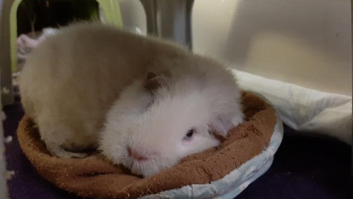 Klicke auf die Grafik f�r eine gr��ere Ansicht

Name:	20240213_055654.jpg
Hits:	0
Gr��e:	66,6 KB
ID:	205855