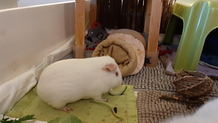 Klicke auf die Grafik f�r eine gr��ere Ansicht

Name:	20240217_073534.jpg
Hits:	0
Gr��e:	89,2 KB
ID:	205856