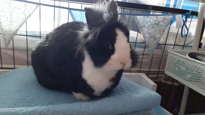 Klicke auf die Grafik f�r eine gr��ere Ansicht

Name:	20240217_114706.jpg
Hits:	0
Gr��e:	89,8 KB
ID:	205860