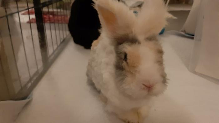 Klicke auf die Grafik f�r eine gr��ere Ansicht

Name:	20240213_064746.jpg
Hits:	0
Gr��e:	53,7 KB
ID:	205862