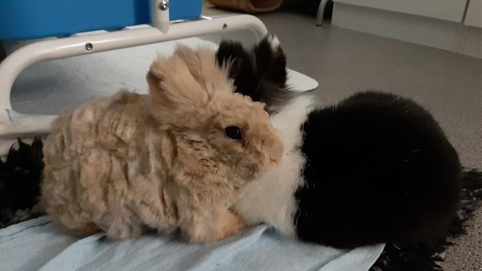 Klicke auf die Grafik f�r eine gr��ere Ansicht

Name:	20240212_045655.jpg
Hits:	0
Gr��e:	75,9 KB
ID:	205863