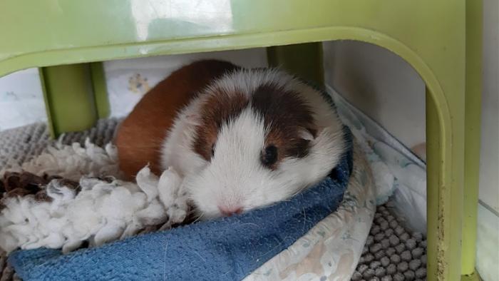 Klicke auf die Grafik f�r eine gr��ere Ansicht

Name:	20240225_100610.jpg
Hits:	0
Gr��e:	90,7 KB
ID:	205938