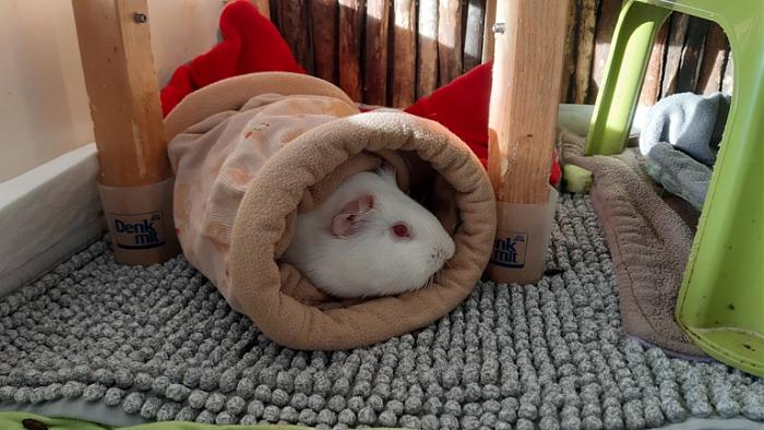 Klicke auf die Grafik f�r eine gr��ere Ansicht

Name:	20240224_090807.jpg
Hits:	0
Gr��e:	138,7 KB
ID:	205940