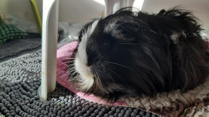 Klicke auf die Grafik f�r eine gr��ere Ansicht

Name:	20240224_091929.jpg
Hits:	1
Gr��e:	110,1 KB
ID:	205941