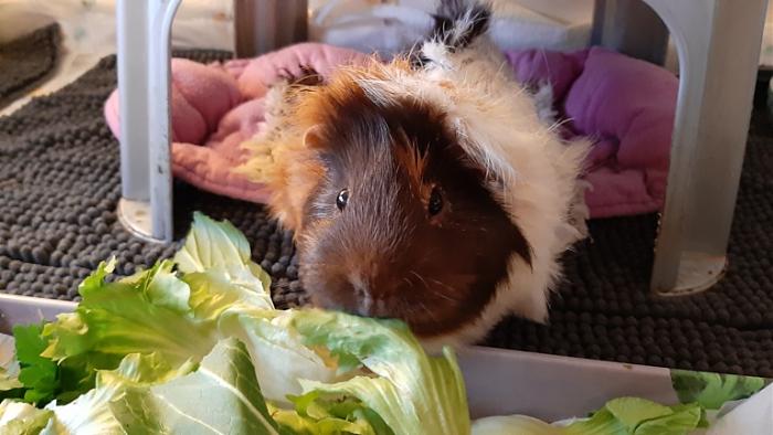 Klicke auf die Grafik f�r eine gr��ere Ansicht

Name:	20240224_075957.jpg
Hits:	0
Gr��e:	107,0 KB
ID:	205942