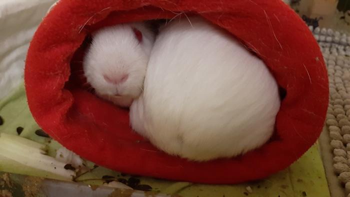 Klicke auf die Grafik f�r eine gr��ere Ansicht

Name:	20240223_043020.jpg
Hits:	0
Gr��e:	73,1 KB
ID:	205944