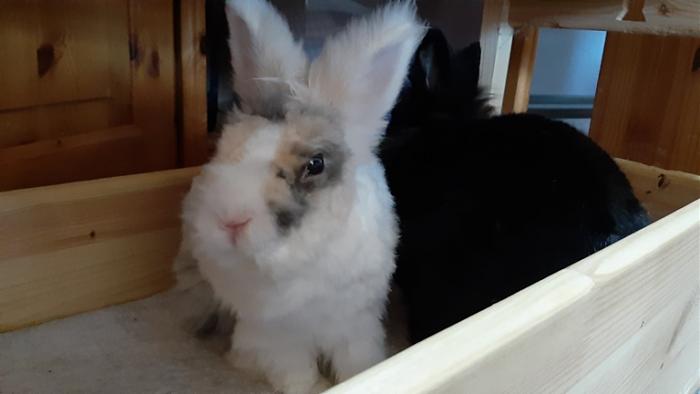 Klicke auf die Grafik f�r eine gr��ere Ansicht

Name:	20240225_160621.jpg
Hits:	0
Gr��e:	64,2 KB
ID:	205945