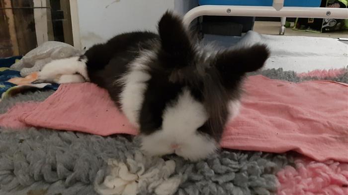 Klicke auf die Grafik f�r eine gr��ere Ansicht

Name:	20240223_070231.jpg
Hits:	0
Gr��e:	86,8 KB
ID:	205946