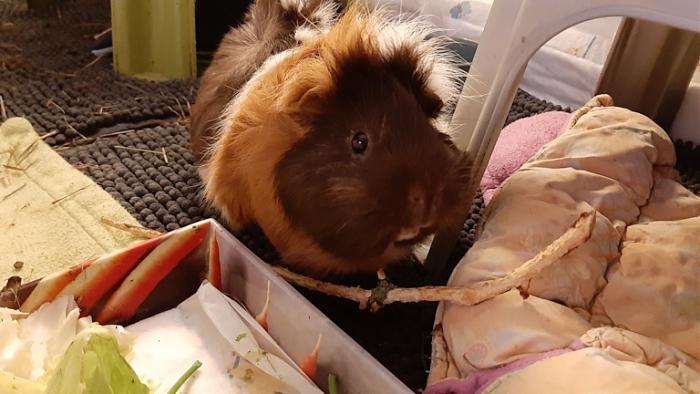 Klicke auf die Grafik f�r eine gr��ere Ansicht

Name:	20240301_042951.jpg
Hits:	0
Gr��e:	115,7 KB
ID:	206030