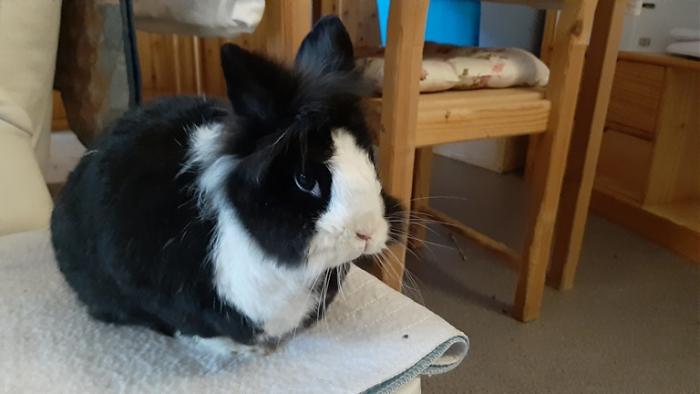 Klicke auf die Grafik f�r eine gr��ere Ansicht

Name:	20240302_074741.jpg
Hits:	0
Gr��e:	78,7 KB
ID:	206033