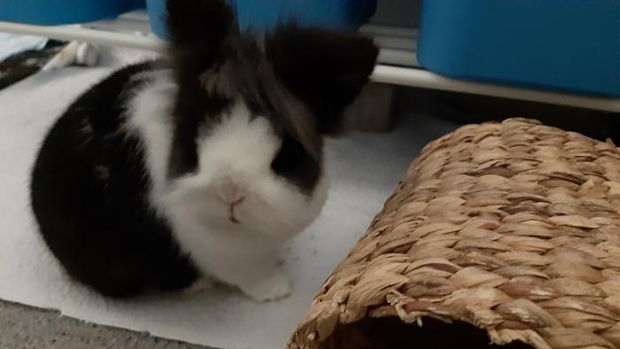 Klicke auf die Grafik f�r eine gr��ere Ansicht

Name:	20240301_070456.jpg
Hits:	0
Gr��e:	77,3 KB
ID:	206034