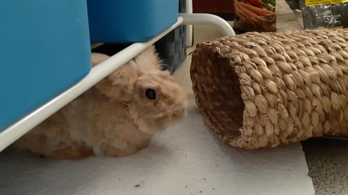 Klicke auf die Grafik f�r eine gr��ere Ansicht

Name:	20240301_074242.jpg
Hits:	0
Gr��e:	86,9 KB
ID:	206035