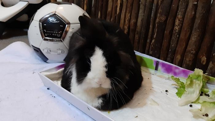 Klicke auf die Grafik f�r eine gr��ere Ansicht

Name:	20240225_211931.jpg
Hits:	0
Gr��e:	90,3 KB
ID:	206038