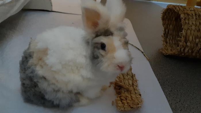 Klicke auf die Grafik f�r eine gr��ere Ansicht

Name:	20240225_211939.jpg
Hits:	0
Gr��e:	66,3 KB
ID:	206039