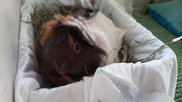 Klicke auf die Grafik f�r eine gr��ere Ansicht

Name:	20240309_085826.jpg
Hits:	0
Gr��e:	91,6 KB
ID:	206117