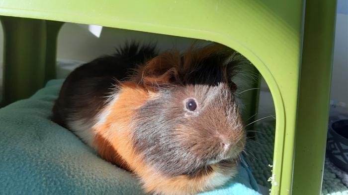 Klicke auf die Grafik f�r eine gr��ere Ansicht

Name:	20240309_094523.jpg
Hits:	0
Gr��e:	100,1 KB
ID:	206119