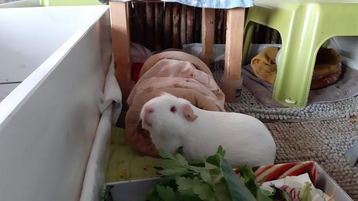 Klicke auf die Grafik f�r eine gr��ere Ansicht

Name:	20240308_074127.jpg
Hits:	0
Gr��e:	90,6 KB
ID:	206121