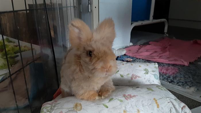 Klicke auf die Grafik f�r eine gr��ere Ansicht

Name:	20240308_094630.jpg
Hits:	0
Gr��e:	84,5 KB
ID:	206122