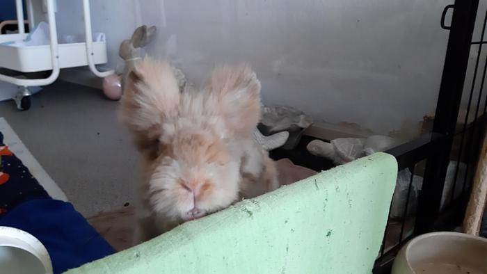 Klicke auf die Grafik f�r eine gr��ere Ansicht

Name:	20240309_095648.jpg
Hits:	0
Gr��e:	74,6 KB
ID:	206123