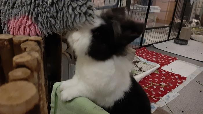 Klicke auf die Grafik f�r eine gr��ere Ansicht

Name:	20240305_035614.jpg
Hits:	0
Gr��e:	99,8 KB
ID:	206124