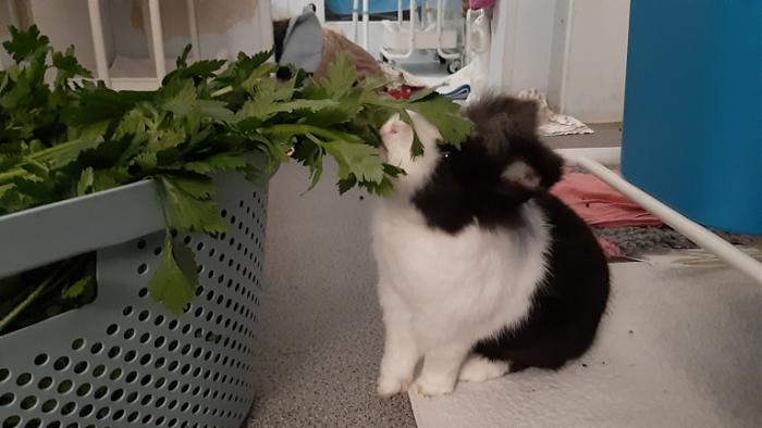 Klicke auf die Grafik f�r eine gr��ere Ansicht

Name:	20240305_182021.jpg
Hits:	0
Gr��e:	94,2 KB
ID:	206125