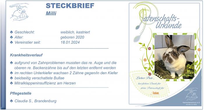 Klicke auf die Grafik fr eine grere Ansicht

Name:	Steckbrief Milli.jpg
Hits:	1
Gre:	137,9 KB
ID:	206169