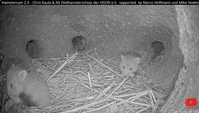 Klicke auf die Grafik fr eine grere Ansicht

Name:	Feldi3.jpg
Hits:	1
Gre:	190,4 KB
ID:	207437