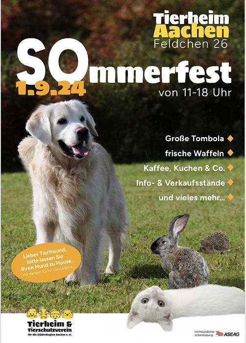 Klicke auf die Grafik f�r eine gr��ere Ansicht

Name:	451144687_876136067891131_3865570803074530023_n.jpg
Hits:	0
Gr��e:	180,1 KB
ID:	208526