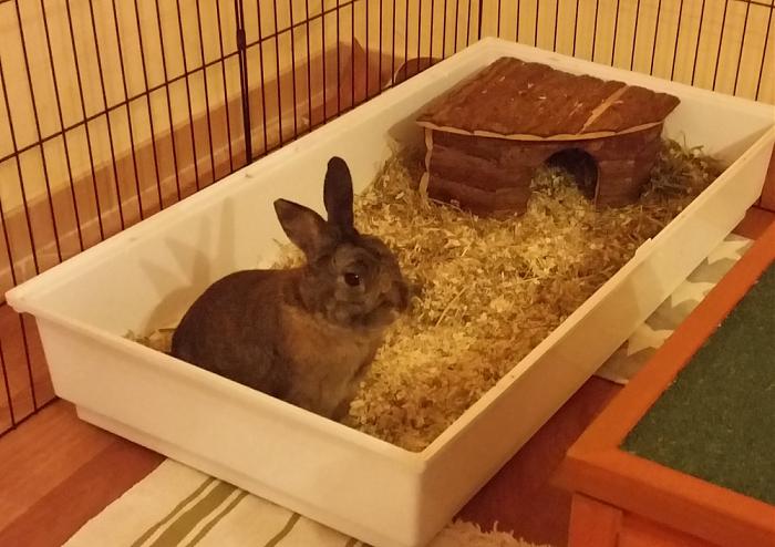 Klicke auf die Grafik für eine größere Ansicht
Name: 20180529_194932_1000_705.jpg
Hits: 1
Größe: 75,4 KB
ID: 208659