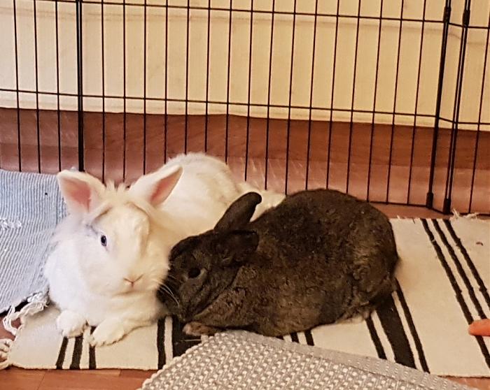 Klicke auf die Grafik für eine größere Ansicht
Name: 20190218_084836_1000_797.jpg
Hits: 1
Größe: 101,6 KB
ID: 208670