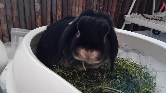 Klicke auf die Grafik fr eine grere Ansicht

Name:	20240817_091443.jpg
Hits:	2
Gre:	197,6 KB
ID:	208885