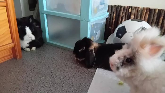 Klicke auf die Grafik fr eine grere Ansicht

Name:	20240818_080836.jpg
Hits:	0
Gre:	184,0 KB
ID:	208887