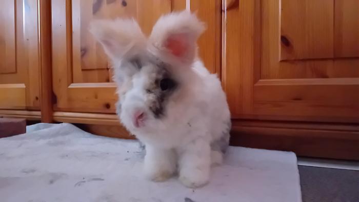 Klicke auf die Grafik fr eine grere Ansicht

Name:	20240818_101507.jpg
Hits:	2
Gre:	129,3 KB
ID:	208888