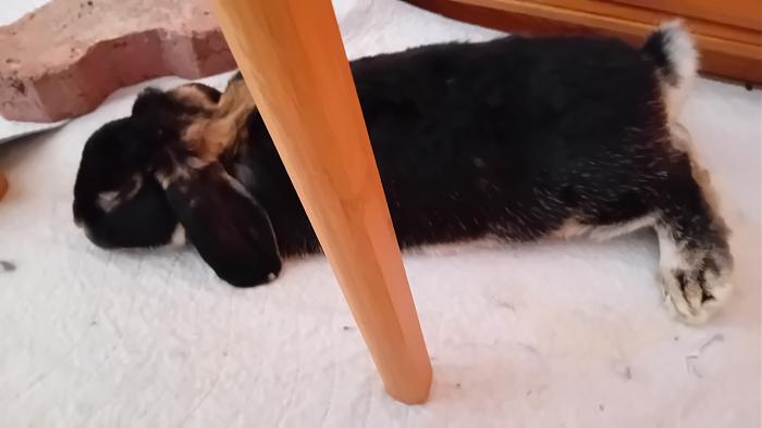 Klicke auf die Grafik fr eine grere Ansicht

Name:	20240818_131730.jpg
Hits:	0
Gre:	130,9 KB
ID:	208889