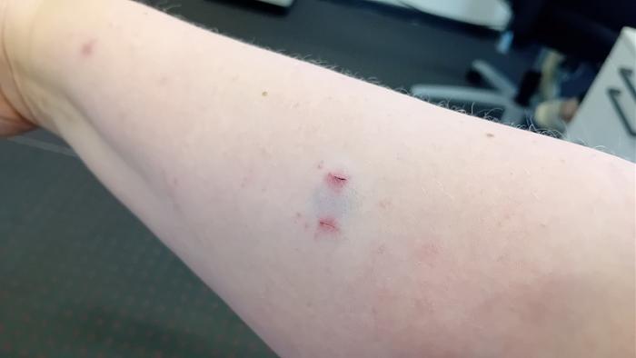 Klicke auf die Grafik fr eine grere Ansicht

Name:	20240816_092044.jpg
Hits:	0
Gre:	136,3 KB
ID:	208890