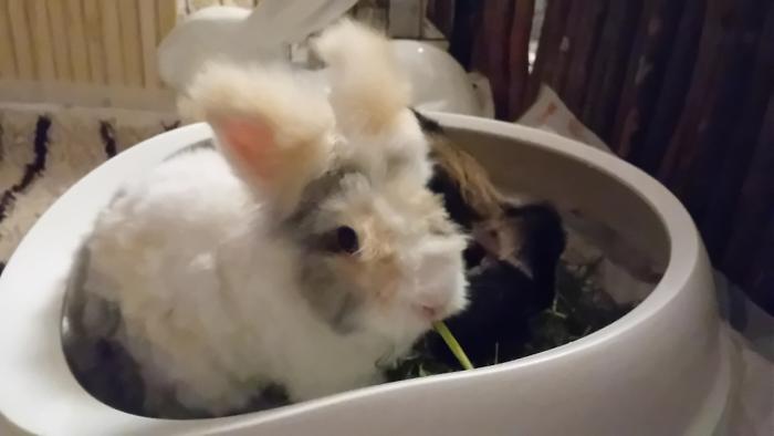 Klicke auf die Grafik fr eine grere Ansicht

Name:	20240815_052911.jpg
Hits:	0
Gre:	131,9 KB
ID:	208891