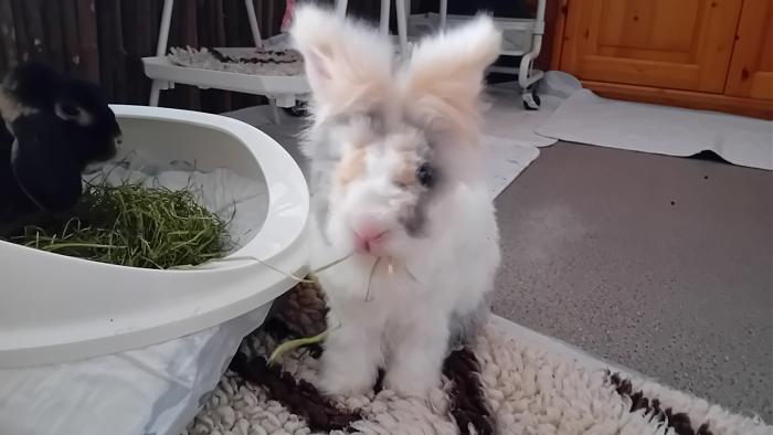 Klicke auf die Grafik fr eine grere Ansicht

Name:	20240817_091436.jpg
Hits:	0
Gre:	174,3 KB
ID:	208892