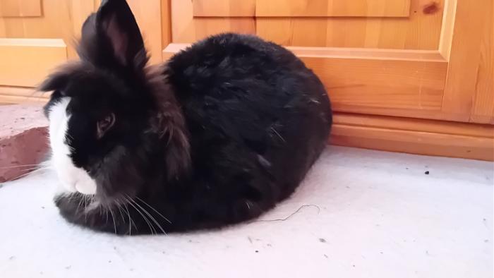 Klicke auf die Grafik fr eine grere Ansicht

Name:	20240825_103828.jpg
Hits:	1
Gre:	62,4 KB
ID:	209017