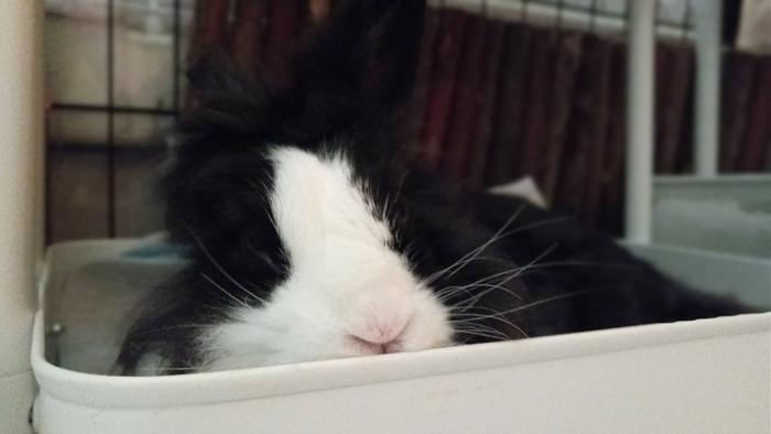 Klicke auf die Grafik fr eine grere Ansicht

Name:	20240827_113936.jpg
Hits:	1
Gre:	64,4 KB
ID:	209115