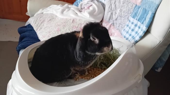 Klicke auf die Grafik fr eine grere Ansicht

Name:	20240831_081836.jpg
Hits:	0
Gre:	72,2 KB
ID:	209116