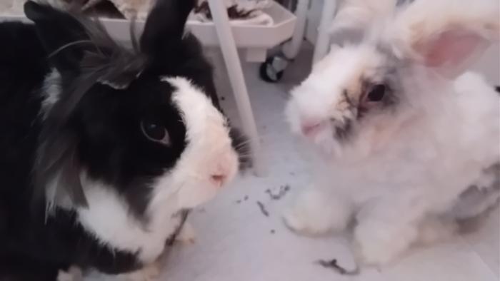 Klicke auf die Grafik fr eine grere Ansicht

Name:	20240901_083927.jpg
Hits:	0
Gre:	49,9 KB
ID:	209117