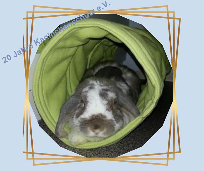 Klicke auf die Grafik f�r eine gr��ere Ansicht

Name:	Teil1_004.jpg
Hits:	201
Gr��e:	46,4 KB
ID:	210472