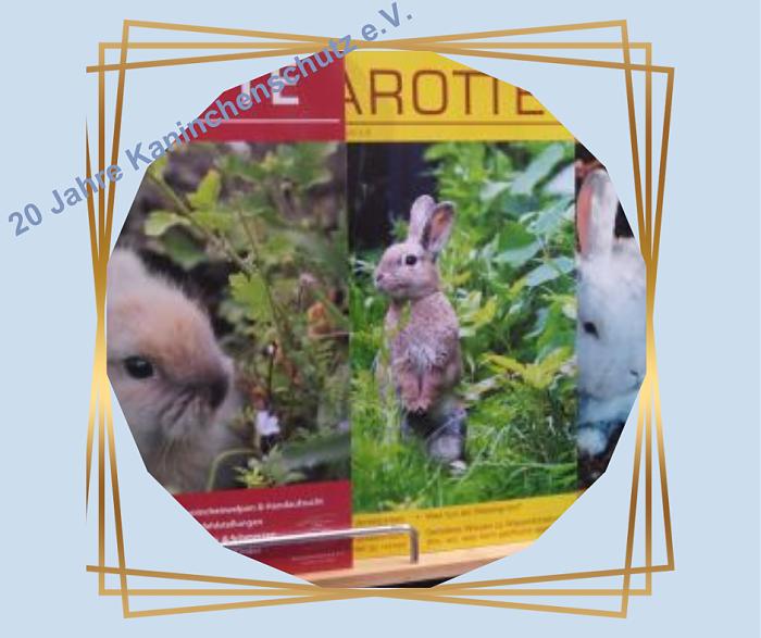 Klicke auf die Grafik f�r eine gr��ere Ansicht

Name:	Teil1_005.jpg
Hits:	203
Gr��e:	51,1 KB
ID:	210473