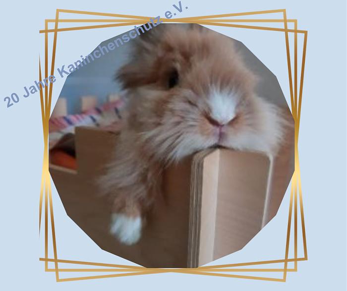 Klicke auf die Grafik f�r eine gr��ere Ansicht

Name:	Teil1_006.jpg
Hits:	197
Gr��e:	36,7 KB
ID:	210474