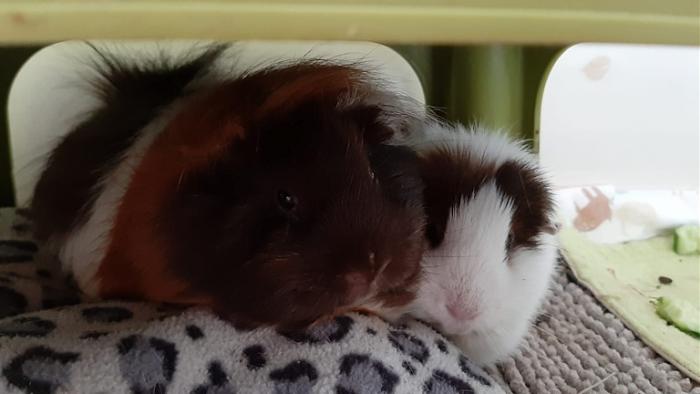 Klicke auf die Grafik fr eine grere Ansicht

Name:	IMG-20241116-WA0002.jpg
Hits:	0
Gre:	76,5 KB
ID:	210493