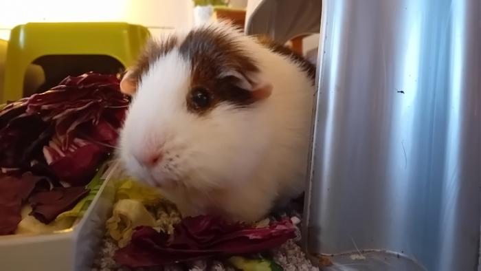 Klicke auf die Grafik fr eine grere Ansicht

Name:	20241116_161353.jpg
Hits:	0
Gre:	66,3 KB
ID:	210494