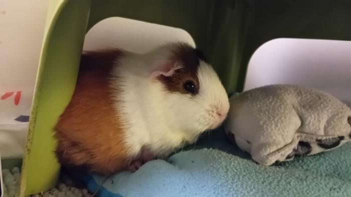 Klicke auf die Grafik fr eine grere Ansicht

Name:	20241113_062731.jpg
Hits:	0
Gre:	63,8 KB
ID:	210495