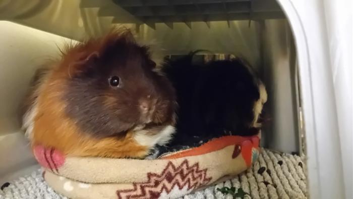 Klicke auf die Grafik fr eine grere Ansicht

Name:	20241113_041258.jpg
Hits:	0
Gre:	71,7 KB
ID:	210496